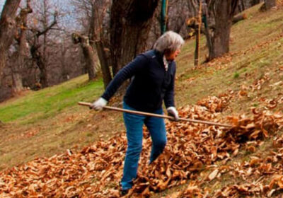 azienda-meschino-barbara-castagne-roccamonfina-001-1